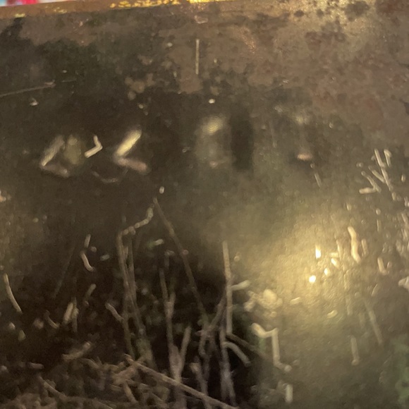 Antique Players Navy cut Tin  cigarettes med 50 - Picture 6 of 7